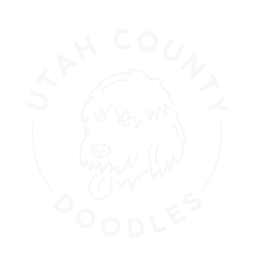 Utah County Doodles
